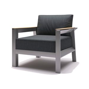 Tanla 1 Seat Single Arm Chair in Grey